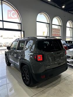 جيب رينيجيد